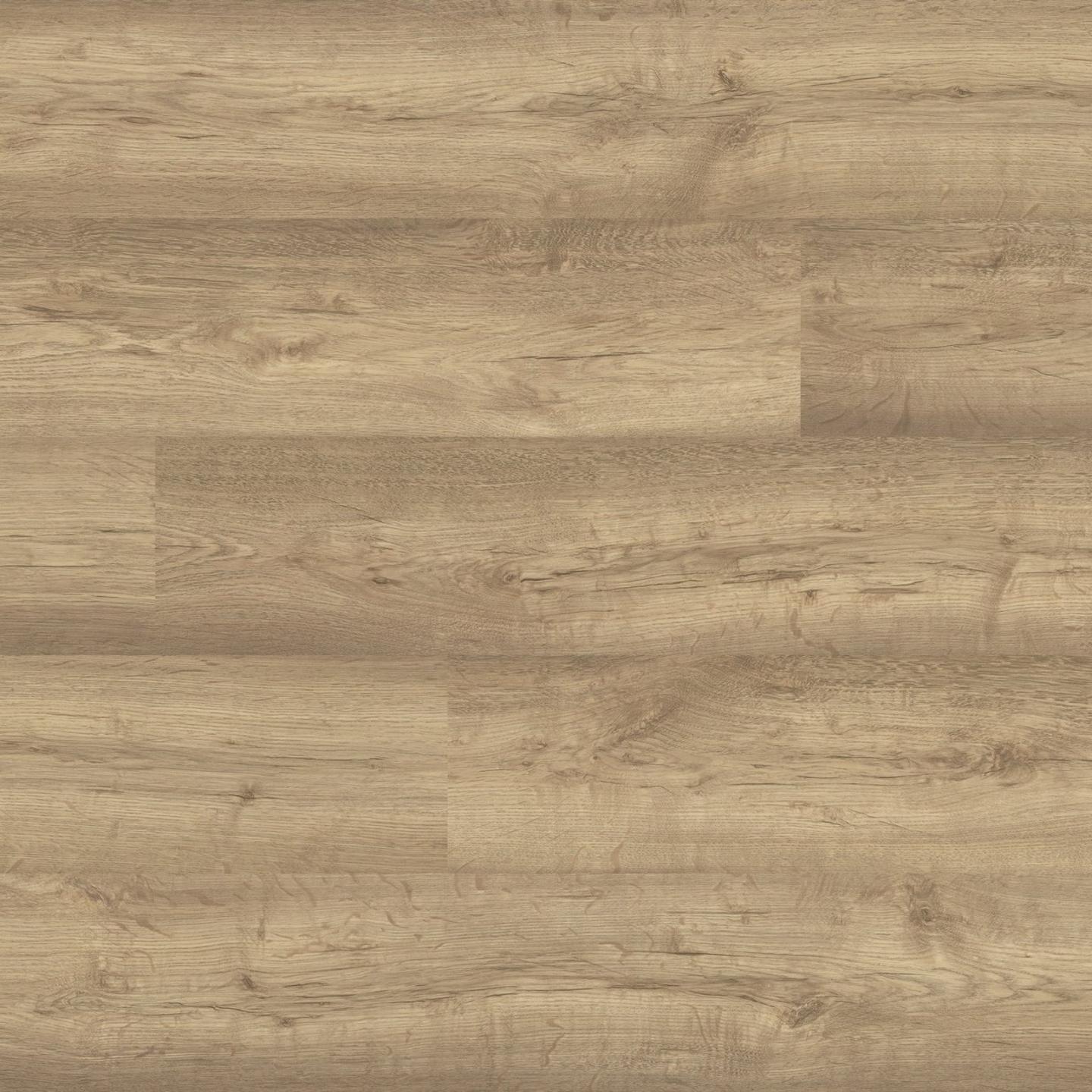 37434 Rovere York