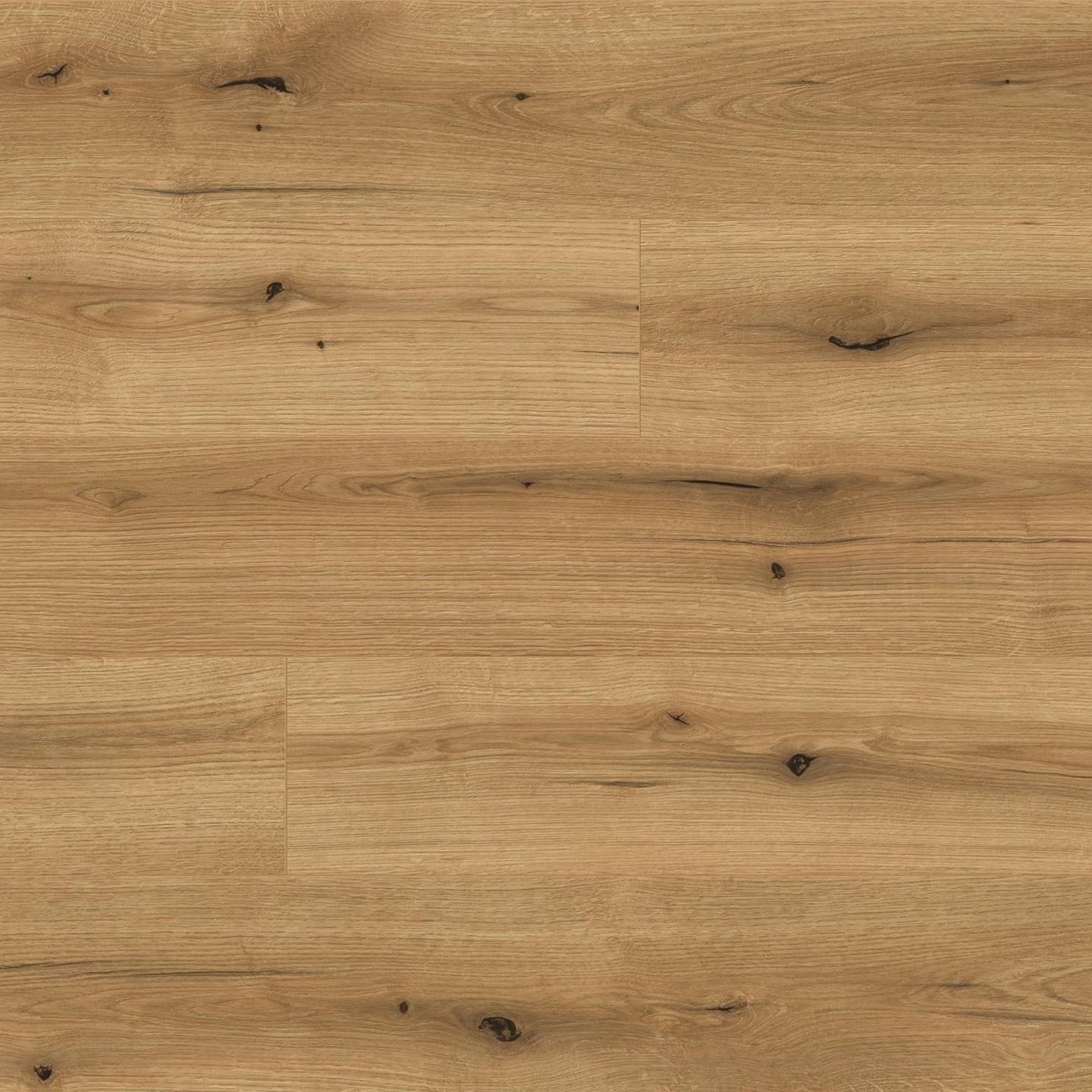 K5573 Rovere Evoke Coast RI Evoke