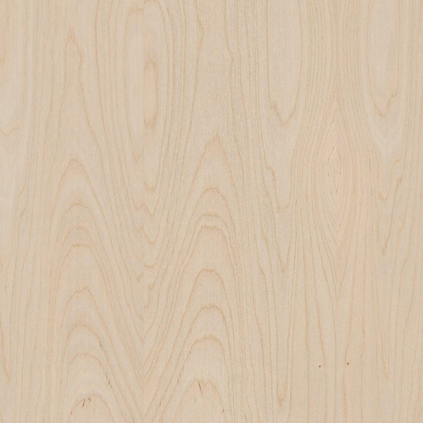 Birch Rotary Cut, classification A