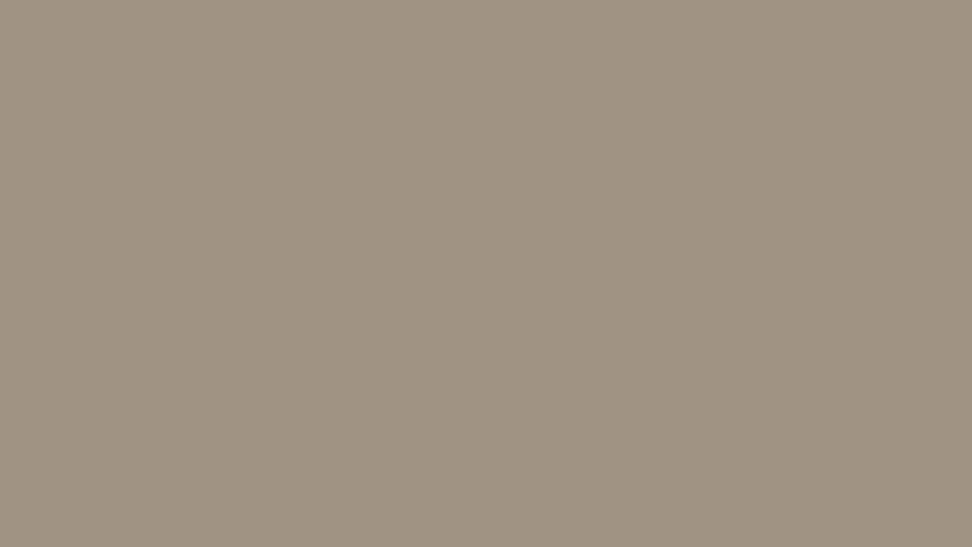 27010 BS Terra Grey