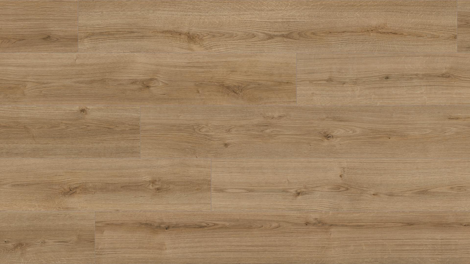 Verlegte Fläche Laminatboden Natural Touch K4421 Eiche Evoke Trend RI