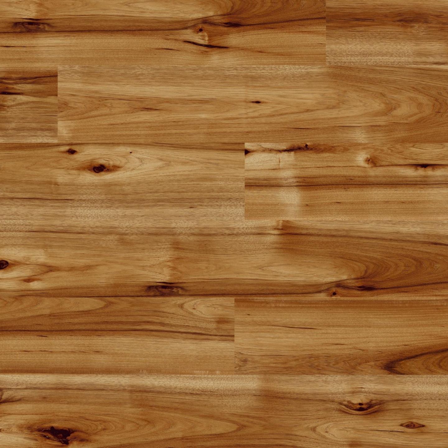 Laid surface P80070 Hickory Bravo HG High Gloss