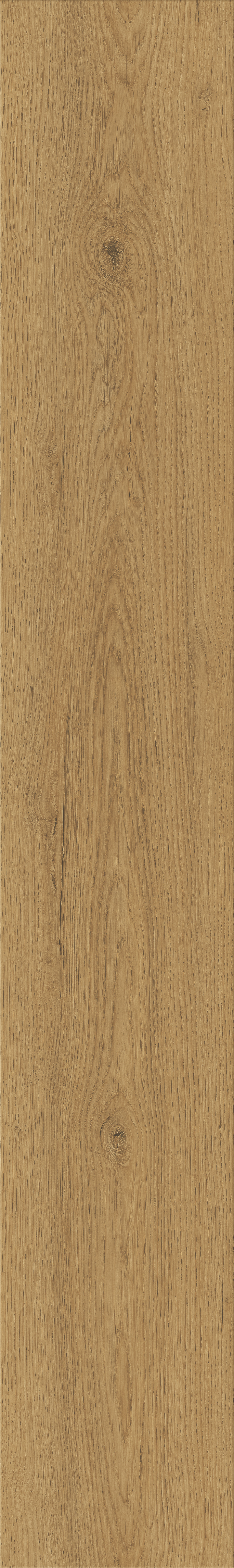 [Translate to Englisch:] 