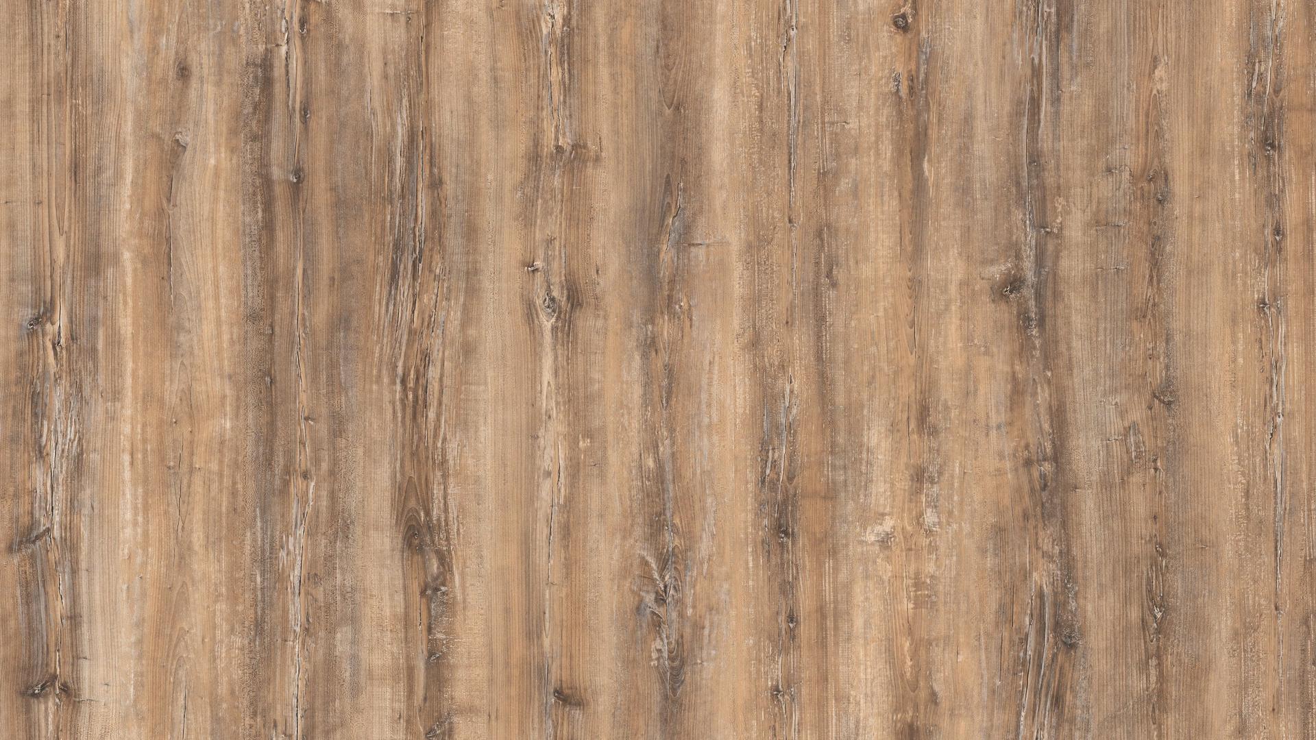 Arizona Pine