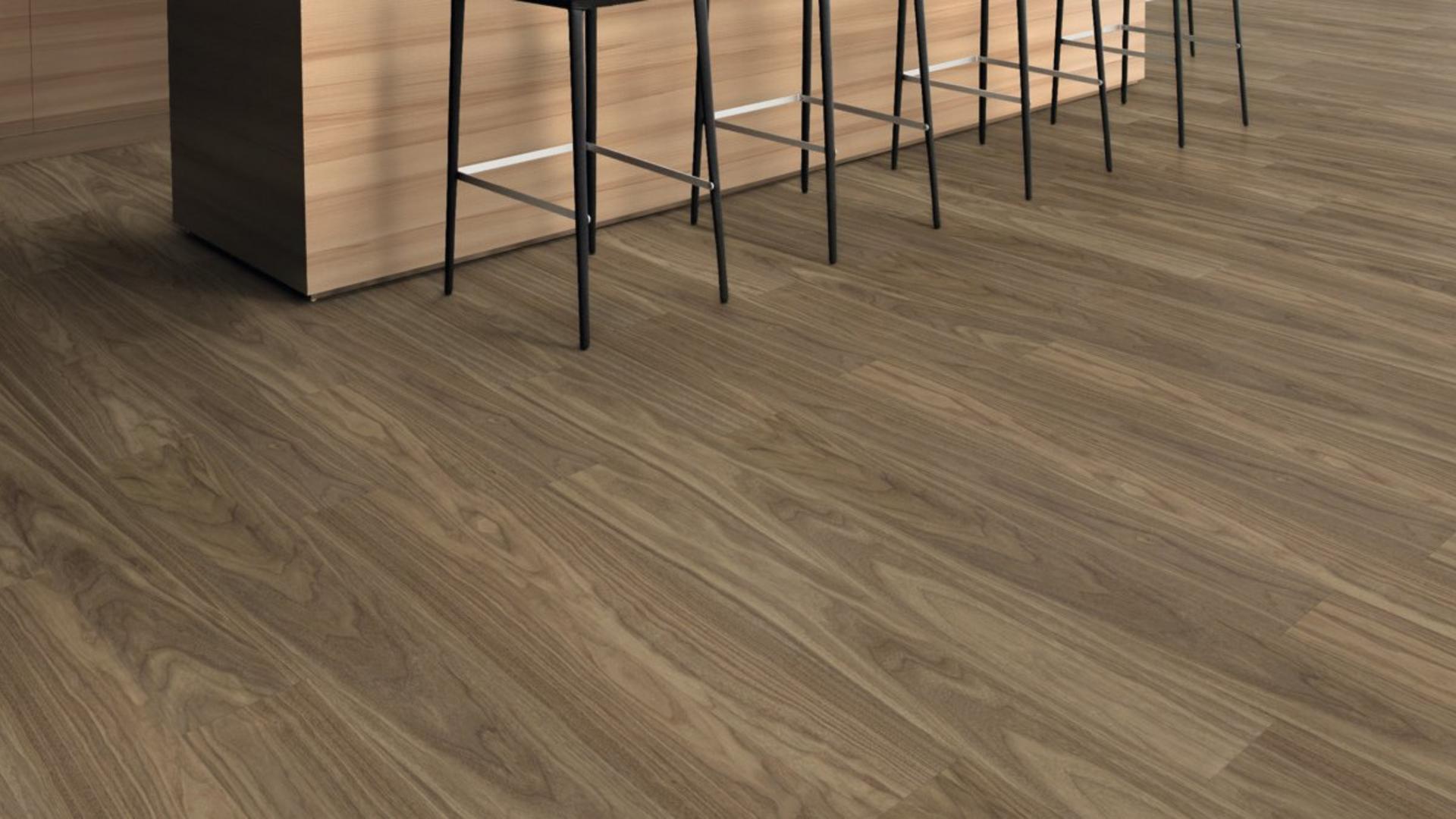 Beech Core