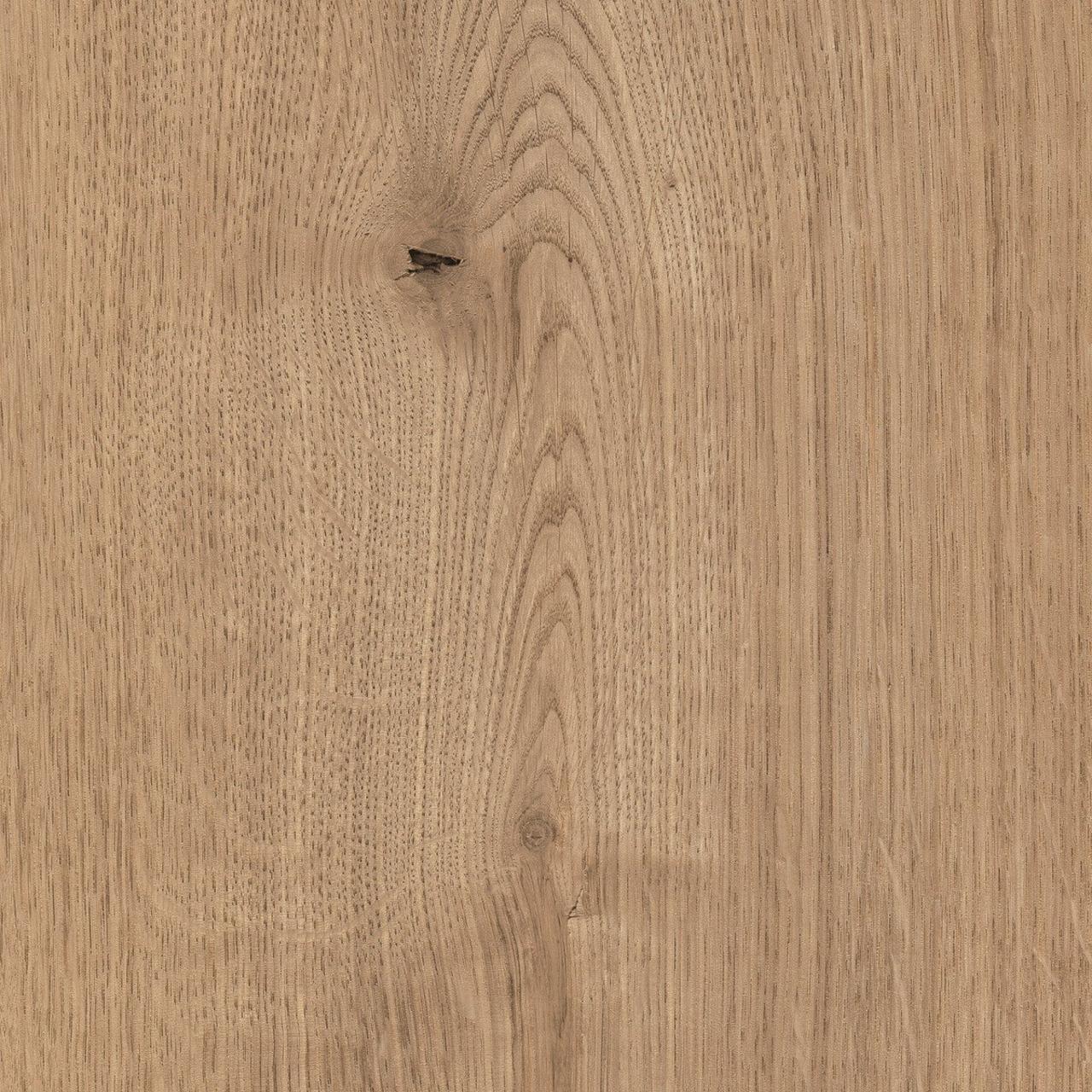 Oak Ferrara Beachlin
