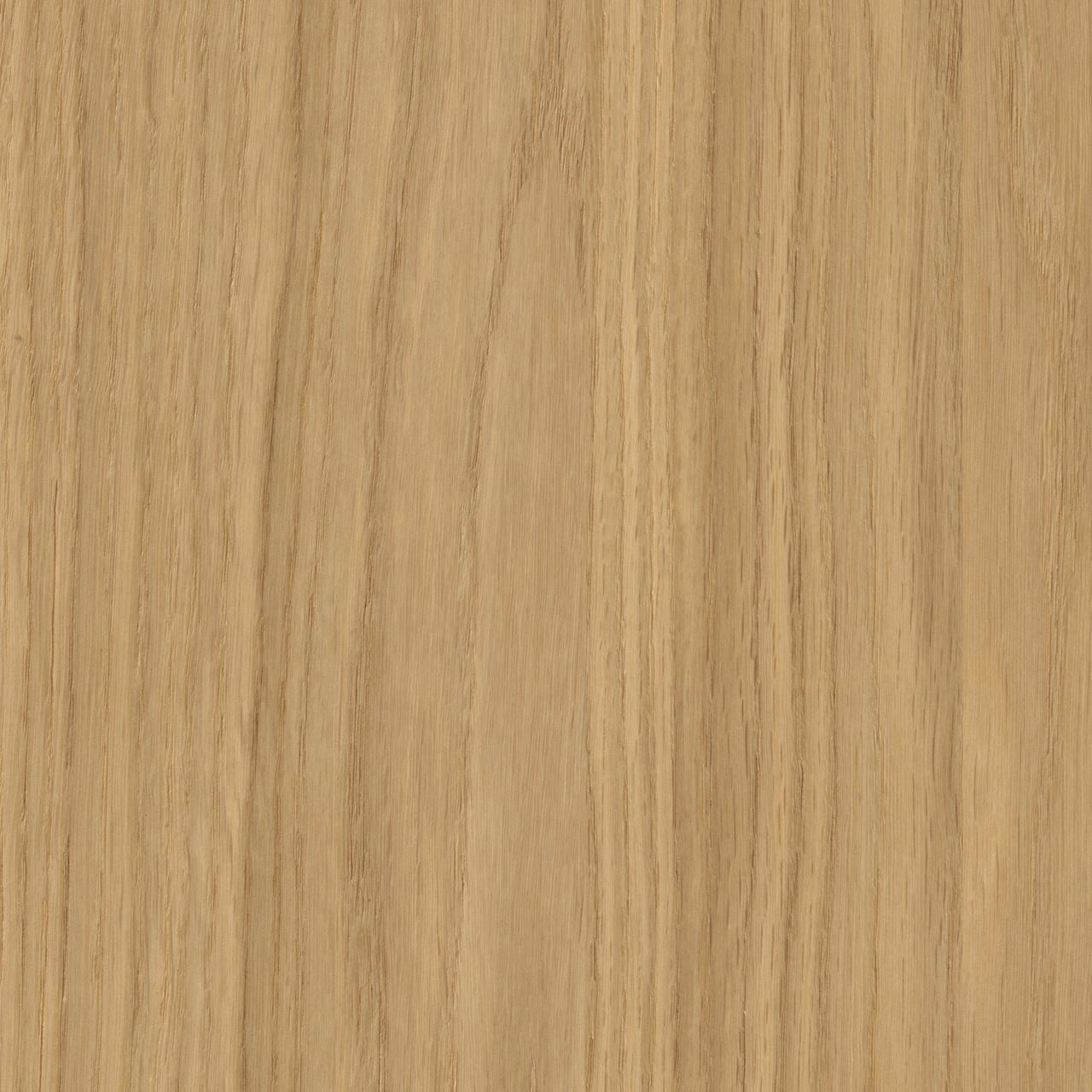 Oak Castilla Zamora
