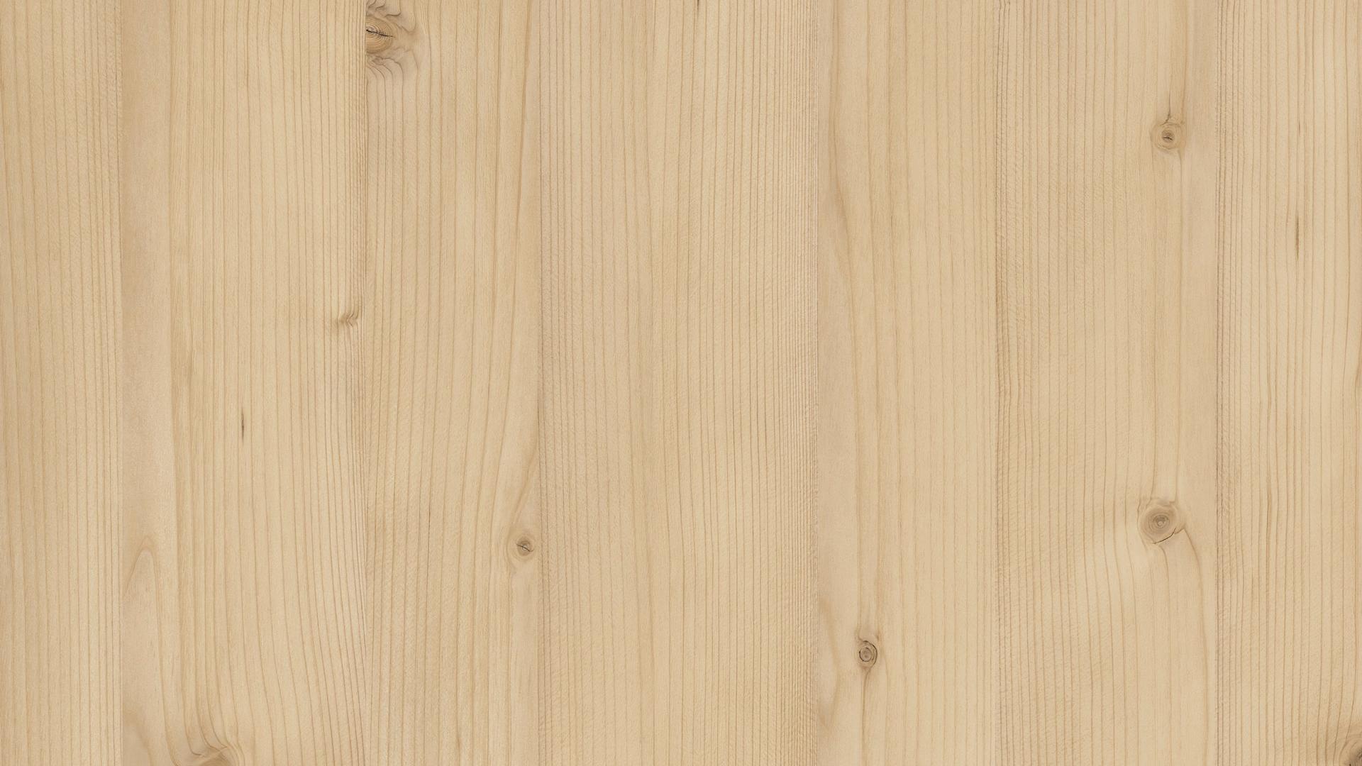 Spruce Taiga