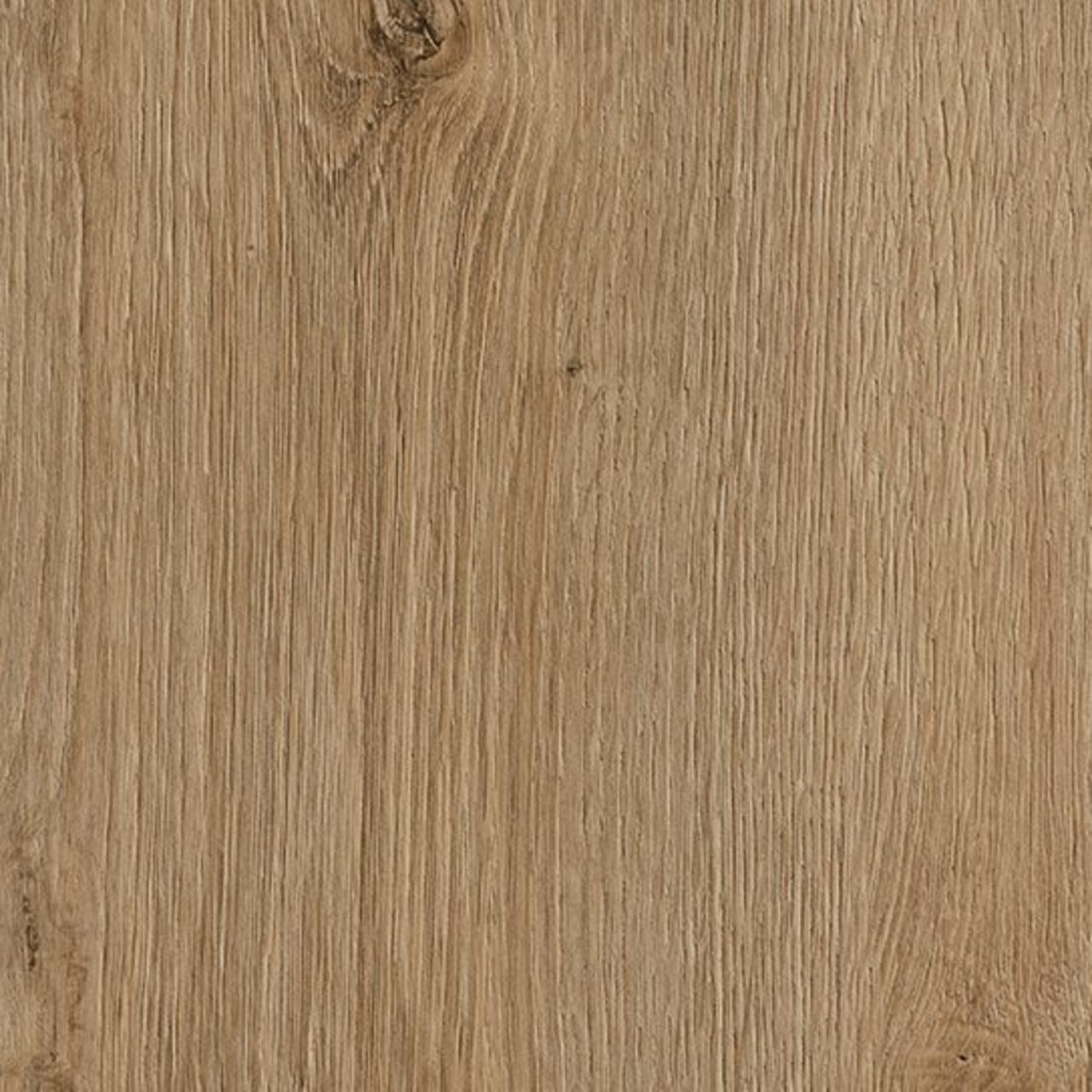 Oak Evoke Trend