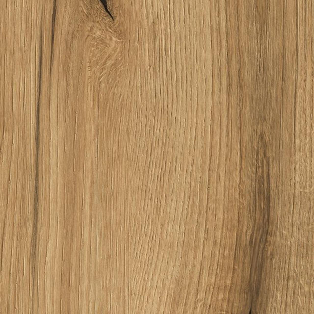 Oak Evoke Coast