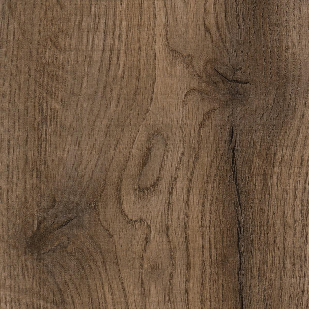 Oak Oviedo