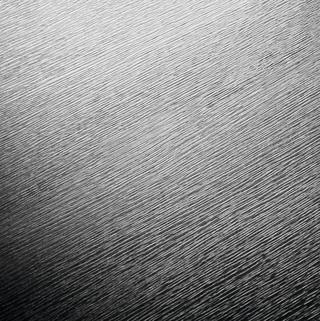 Oak Taranto
