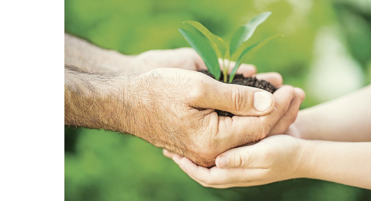 Responsibility & Sustainability